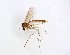  ( - TSZD-JKJ-102668)  @11 [ ] CreativeCommons - Attribution Non-Commercial Share-Alike (2017) Unspecified Tromsø University Museum