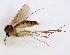  ( - TSZD-JKJ-102683)  @13 [ ] CreativeCommons - Attribution Non-Commercial Share-Alike (2017) Unspecified Tromsø University Museum
