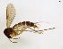  ( - TSZD-JKJ-102746)  @11 [ ] CreativeCommons - Attribution Non-Commercial Share-Alike (2017) Unspecified Tromsø University Museum