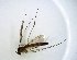  ( - TSZD-JKJ-102763)  @11 [ ] CreativeCommons - Attribution Non-Commercial Share-Alike (2017) Unspecified Tromsø University Museum