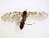  ( - TSZD-JKJ-102767)  @12 [ ] CreativeCommons - Attribution Non-Commercial Share-Alike (2017) Unspecified Tromsø University Museum