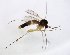  ( - TSZD-JKJ-102768)  @12 [ ] CreativeCommons - Attribution Non-Commercial Share-Alike (2017) Unspecified Tromsø University Museum