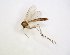  ( - TSZD-JKJ-102777)  @13 [ ] CreativeCommons - Attribution Non-Commercial Share-Alike (2017) Unspecified Tromsø University Museum