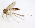  ( - TSZD-JKJ-102792)  @11 [ ] CreativeCommons - Attribution Non-Commercial Share-Alike (2017) Unspecified Tromsø University Museum