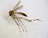  ( - TSZD-JKJ-102793)  @11 [ ] CreativeCommons - Attribution Non-Commercial Share-Alike (2017) Unspecified Tromsø University Museum