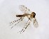  ( - TSZD-JKJ-102794)  @11 [ ] CreativeCommons - Attribution Non-Commercial Share-Alike (2017) Unspecified Tromsø University Museum