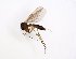  ( - TSZD-JKJ-102803)  @11 [ ] CreativeCommons - Attribution Non-Commercial Share-Alike (2017) Unspecified Tromsø University Museum