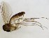  ( - TSZD-JKJ-102809)  @11 [ ] CreativeCommons - Attribution Non-Commercial Share-Alike (2017) Unspecified Tromsø University Museum