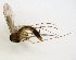  ( - TSZD-JKJ-102811)  @11 [ ] CreativeCommons - Attribution Non-Commercial Share-Alike (2017) Unspecified Tromsø University Museum