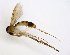  ( - TSZD-JKJ-102812)  @11 [ ] CreativeCommons - Attribution Non-Commercial Share-Alike (2017) Unspecified Tromsø University Museum