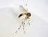  ( - TSZD-JKJ-102815)  @13 [ ] CreativeCommons - Attribution Non-Commercial Share-Alike (2017) Unspecified Tromsø University Museum