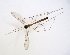  ( - TSZD-JKJ-102828)  @11 [ ] CreativeCommons - Attribution Non-Commercial Share-Alike (2017) Unspecified Tromsø University Museum