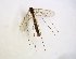 ( - TSZD-JKJ-102844)  @11 [ ] CreativeCommons - Attribution Non-Commercial Share-Alike (2017) Unspecified Tromsø University Museum