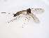  ( - TSZD-JKJ-102871)  @11 [ ] CreativeCommons - Attribution Non-Commercial Share-Alike (2017) Unspecified Tromsø University Museum