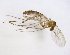  ( - TSZD-JKJ-102893)  @11 [ ] CreativeCommons - Attribution Non-Commercial Share-Alike (2017) Unspecified Tromsø University Museum