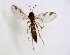  ( - TSZD-JKJ-102901)  @11 [ ] CreativeCommons - Attribution Non-Commercial Share-Alike (2017) Unspecified Tromsø University Museum