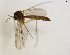  ( - TSZD-JKJ-102908)  @12 [ ] CreativeCommons - Attribution Non-Commercial Share-Alike (2017) Unspecified Tromsø University Museum
