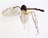  ( - TSZD-JKJ-102912)  @11 [ ] CreativeCommons - Attribution Non-Commercial Share-Alike (2017) Unspecified Tromsø University Museum
