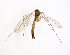  ( - TSZD-JKJ-102913)  @13 [ ] CreativeCommons - Attribution Non-Commercial Share-Alike (2017) Unspecified Tromsø University Museum