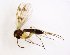  ( - TSZD-JKJ-102924)  @11 [ ] CreativeCommons - Attribution Non-Commercial Share-Alike (2017) Unspecified Tromsø University Museum