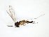  ( - TSZD-JKJ-102972)  @11 [ ] CreativeCommons - Attribution Non-Commercial Share-Alike (2017) Unspecified Tromsø University Museum