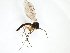  ( - TSZD-JKJ-102973)  @13 [ ] CreativeCommons - Attribution Non-Commercial Share-Alike (2017) Unspecified Tromsø University Museum