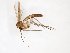  ( - TSZD-JKJ-102983)  @11 [ ] CreativeCommons - Attribution Non-Commercial Share-Alike (2017) Unspecified Tromsø University Museum