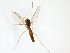  ( - TSZD-JKJ-102986)  @11 [ ] CreativeCommons - Attribution Non-Commercial Share-Alike (2017) Unspecified Tromsø University Museum