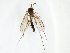  ( - TSZD-JKJ-102988)  @11 [ ] CreativeCommons - Attribution Non-Commercial Share-Alike (2017) Unspecified Tromsø University Museum