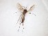  ( - TSZD-JKJ-102990)  @12 [ ] CreativeCommons - Attribution Non-Commercial Share-Alike (2017) Unspecified Tromsø University Museum