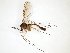  ( - TSZD-JKJ-103006)  @11 [ ] CreativeCommons - Attribution Non-Commercial Share-Alike (2017) Unspecified Tromsø University Museum