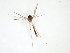  ( - TSZD-JKJ-103009)  @12 [ ] CreativeCommons - Attribution Non-Commercial Share-Alike (2017) Unspecified Tromsø University Museum