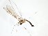  ( - TSZD-JKJ-103019)  @11 [ ] CreativeCommons - Attribution Non-Commercial Share-Alike (2017) Unspecified Tromsø University Museum