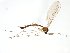  ( - TSZD-JKJ-103023)  @11 [ ] CreativeCommons - Attribution Non-Commercial Share-Alike (2017) Unspecified Tromsø University Museum