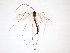  ( - TSZD-JKJ-103024)  @11 [ ] CreativeCommons - Attribution Non-Commercial Share-Alike (2017) Unspecified Tromsø University Museum