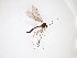 ( - TSZD-JKJ-103025)  @11 [ ] CreativeCommons - Attribution Non-Commercial Share-Alike (2017) Unspecified Tromsø University Museum
