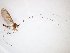  ( - TSZD-JKJ-103030)  @12 [ ] CreativeCommons - Attribution Non-Commercial Share-Alike (2017) Unspecified Tromsø University Museum