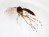  ( - TSZD-JKJ-103051)  @13 [ ] CreativeCommons - Attribution Non-Commercial Share-Alike (2017) Unspecified Tromsø University Museum