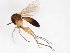  ( - TSZD-JKJ-103073)  @11 [ ] CreativeCommons - Attribution Non-Commercial Share-Alike (2017) Unspecified Tromsø University Museum