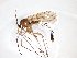  ( - TSZD-JKJ-103076)  @11 [ ] CreativeCommons - Attribution Non-Commercial Share-Alike (2017) Unspecified Tromsø University Museum