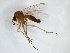  ( - TSZD-JKJ-103081)  @11 [ ] CreativeCommons - Attribution Non-Commercial Share-Alike (2017) Unspecified Tromsø University Museum