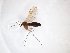  ( - TSZD-JKJ-103084)  @11 [ ] CreativeCommons - Attribution Non-Commercial Share-Alike (2017) Unspecified Tromsø University Museum