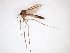  ( - TSZD-JKJ-103085)  @11 [ ] CreativeCommons - Attribution Non-Commercial Share-Alike (2017) Unspecified Tromsø University Museum