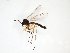  ( - TSZD-JKJ-103092)  @13 [ ] CreativeCommons - Attribution Non-Commercial Share-Alike (2017) Unspecified Tromsø University Museum
