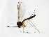  ( - TSZD-JKJ-103094)  @11 [ ] CreativeCommons - Attribution Non-Commercial Share-Alike (2017) Unspecified Tromsø University Museum