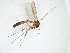  ( - TSZD-JKJ-103120)  @11 [ ] CreativeCommons - Attribution Non-Commercial Share-Alike (2017) Unspecified Tromsø University Museum