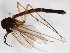  ( - TSZD-JKJ-103124)  @12 [ ] CreativeCommons - Attribution Non-Commercial Share-Alike (2017) Unspecified Tromsø University Museum