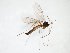  ( - TSZD-JKJ-103125)  @11 [ ] CreativeCommons - Attribution Non-Commercial Share-Alike (2017) Unspecified Tromsø University Museum