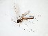  ( - TSZD-JKJ-103125)  @11 [ ] CreativeCommons - Attribution Non-Commercial Share-Alike (2017) Unspecified Tromsø University Museum