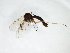  ( - TSZD-JKJ-103138)  @11 [ ] CreativeCommons - Attribution Non-Commercial Share-Alike (2017) Unspecified Tromsø University Museum